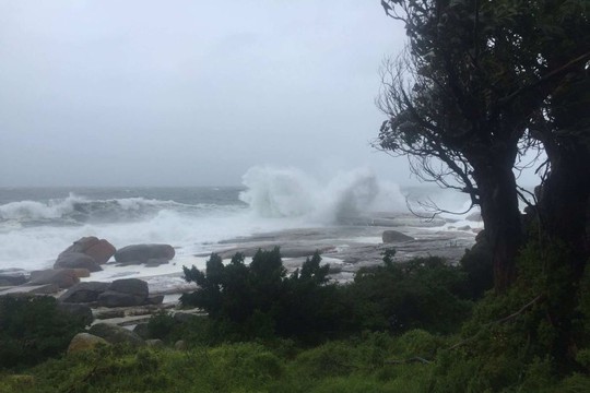 
Ngoài biển, sóng đánh cao đến gần 8m. Ảnh: ABC News

