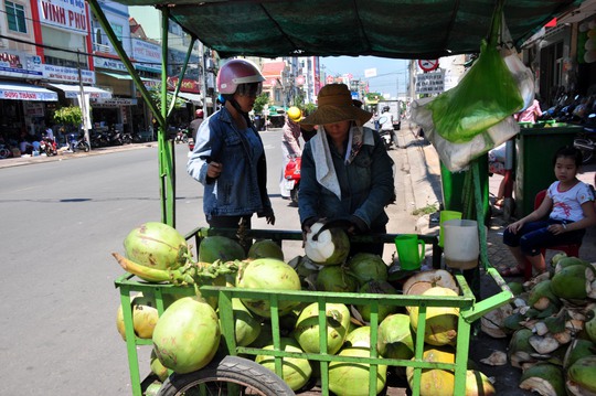 Vì thời tiết quá oi bức, những điểm bán trái cây, nước giải khác rất có khá đông người đến mua. 