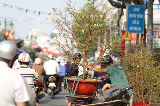 
Mặt hàng được bán nhiều nhất vẫn là mai
