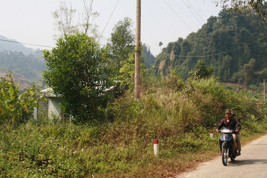 Làng TNLN Trường Xuân (Quảng Bình) Ảnh: Hoàng Phúc