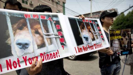 
Người dân Trung Quốc kêu gọi tẩy chay lễ hội thịt chó. Ảnh: AP
