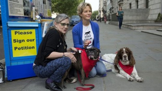 
Người dân ở London - Anh cũng phản đối lễ hội thịt chó Ngọc Lâm. Ảnh: AP
