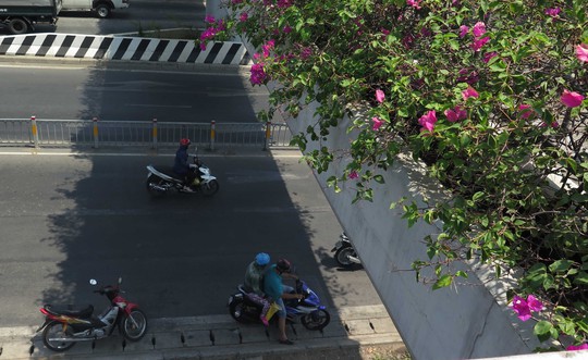 
Nhìn những giàn hoa giấy đẹp thế này mà bên trong đó toàn là kim tiêm của người nghiện.
