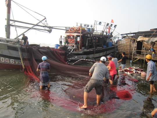 Người dân giúp chủ tàu cá bị nạn thu gom lưới