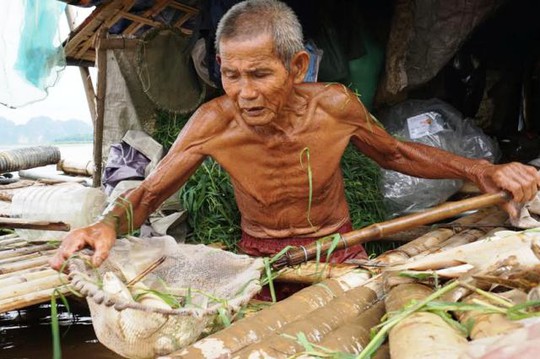 
Người nuôi cá lồng ở Thanh Hóa lao đao trước hiện tượng cá chết hàng loạt trên sông Mã những ngày qua
