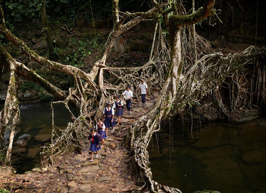 
Meghalaya, Ấn Độ
