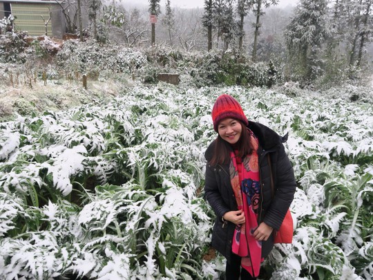 
Nhiều du khách từ Hà Nội và các tỉnh thành đã tranh thủ lên Sa Pa du lịch và ngắm mưa tuyết trong đợt rét lịch sử. Ảnh: Đỗ Bích Ngọc
