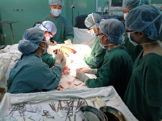 Các bác sĩ vi phẫu xoay kéo vạc da lấp lổ thủng cứu bệnh nhân
