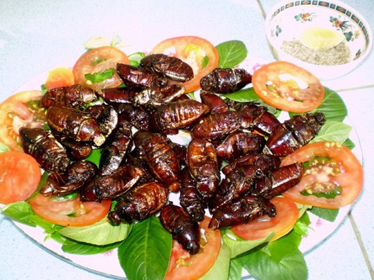 
Món ăn được chế biến từ bọ rầy Ảnh: Internet
