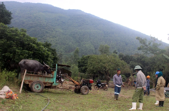 
Một số trâu sắp chết được người dân tìm được, đưa xe chở về nhà để tìm cách cứu chữa.
