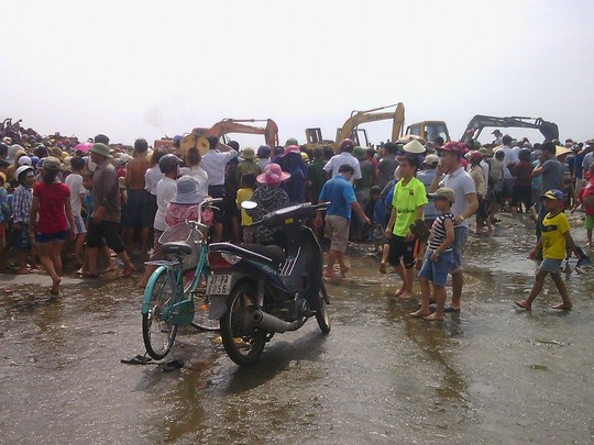 Rất đông người dân có mặt tại bãi biển xem giải cứu cá voi.