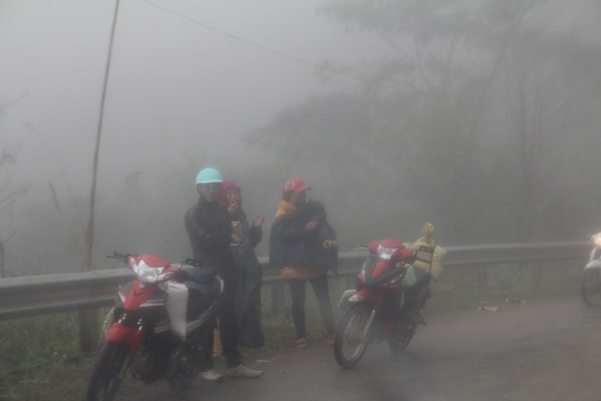 Nhiệt độ thấp, sương mù dày đặc khiến mọi hoạt động của người dân ở Nghệ An bị đảo lộn