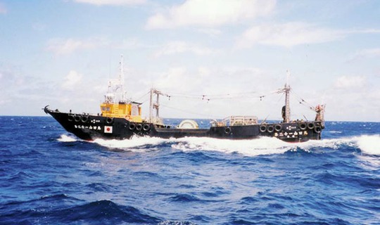 
Một tàu cá Nhật Bản đánh bắt trong khu vực. Ảnh: National Federation of Medium Trawlers
