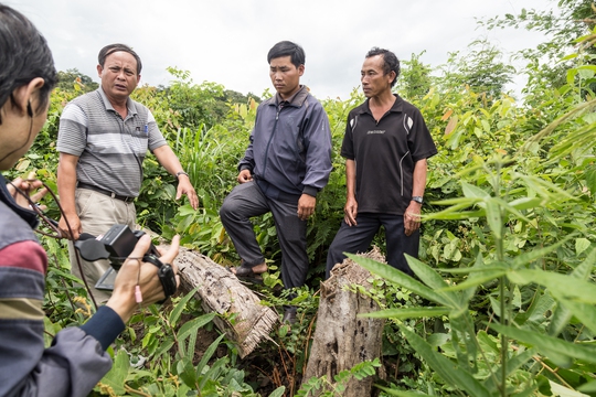 
Trưởng thôn Giang Đông (thứ 2 từ phải sang) khẳng định vị trí phóng viên VTV bảo ông Vừ Dũ Dinh (bìa phải) đốn hạ cây để quay phim là nương rẫy chứ không phải là rừng. Ảnh: Như Phú
