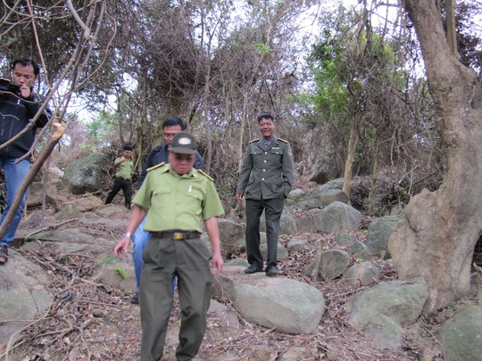 
Lực lượng chức năng thị sát tiểu khu 62 rừng bán đảo Sơn Trà bị chặt phá
