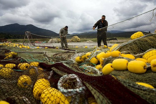 
Ngư dân trên Kurils, quần đảo tranh chấp giữa Nga và Nhật. Ảnh: REUTERS
