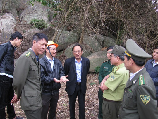 
Kiểm lâm cùng lãnh đạo Sở NN-PTNT và lãnh đạo phường Thọ Quang hội ý ngay tại khu rừng bị phá
