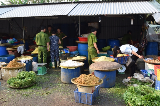 Lực lượng chức năng phát hiện măng chua chứa chất độc hại ở tỉnh Thừa Thiên - Huế Ảnh: QUANG NHẬT
