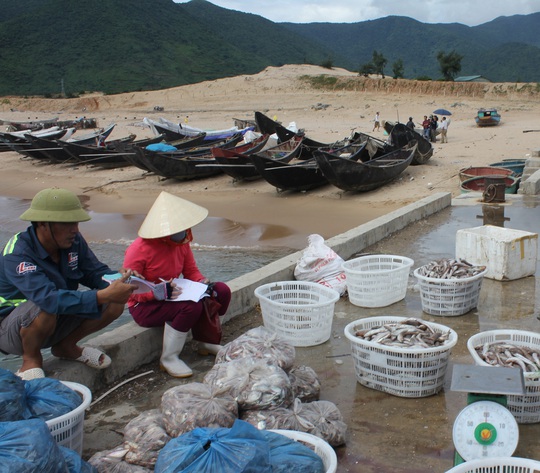 Tại tỉnh Hà Tĩnh, giá ghẹ chỉ còn 10.000 đồng/kg mà vẫn ế Ảnh: ĐỨC NGỌC