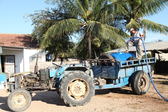 
Thậm chí phải mua từng bồn nước để cứu khát cho chúng...
