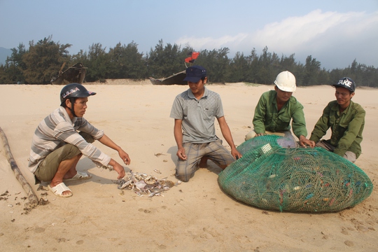 Ngư dân thị xã Kỳ Anh - Hà Tĩnh khốn khó do sự cố xả thải của Formosa Ảnh: Đức Ngọc