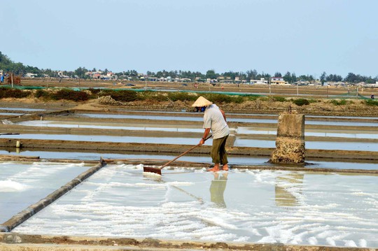 Diêm dân ở Sa Huỳnh, xã Phổ Thạnh, huyện Đức Phổ, tỉnh Quảng Ngãi lo lắng vì muối làm ra không biết bán cho ai