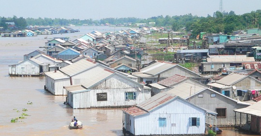 Làng nuôi cá bè ở An Giang lúc hưng thịnh