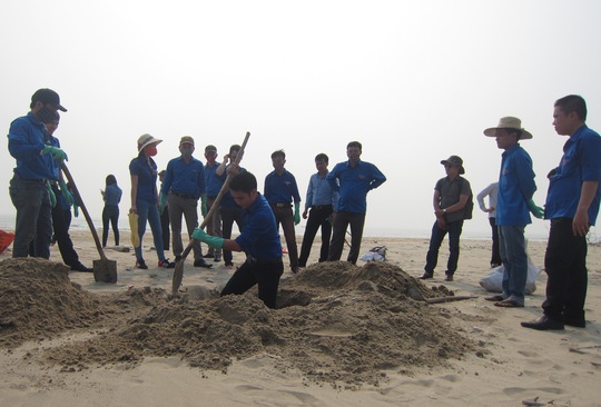 Đoàn viên thanh niên tỉnh Quảng Bình tích cực chôn lấp cá chết để bảo đảm vệ sinh môi trường Ảnh: HOÀNG PHÚC