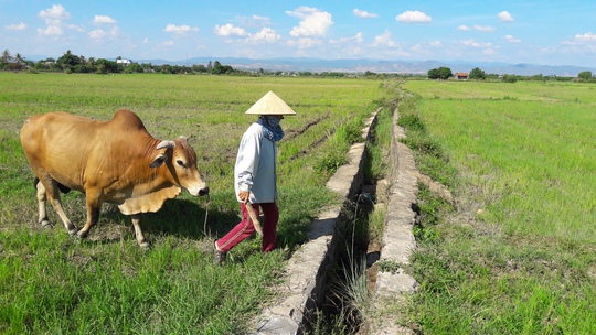 Công trình kiên cố hóa kênh mương tại xã Ia Peng đang hư hỏng nặng