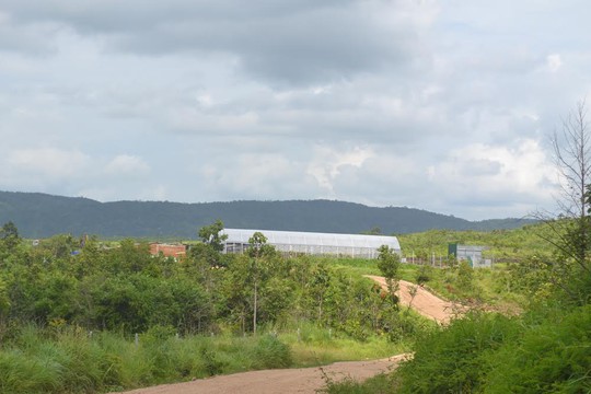 
247 ha đất dự án của Công ty Trường Thịnh bị người dân lấn chiếm
