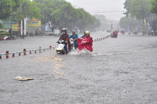 
Sau mỗi trận mưa gần đây, đường Biên Hòa đều biến thành sông
