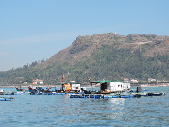 Hàng trăm lồng bè nuôi thủy sản của người dân Lý Sơn
