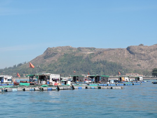Hàng trăm lồng bè nuôi thủy sản của người dân Lý Sơn