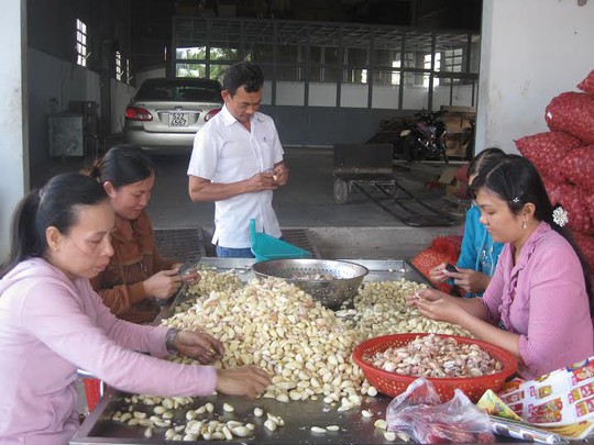 
Theo quy định mới, người lao động làm việc theo hợp đồng mùa vụ từ đủ 3 tháng trở lên buộc phải tham gia bảo hiểm thất nghiệp
