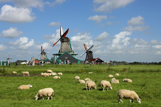 
Đất nước cối xay gió Hà Lan. Ảnh: Lien Bang Travelink
