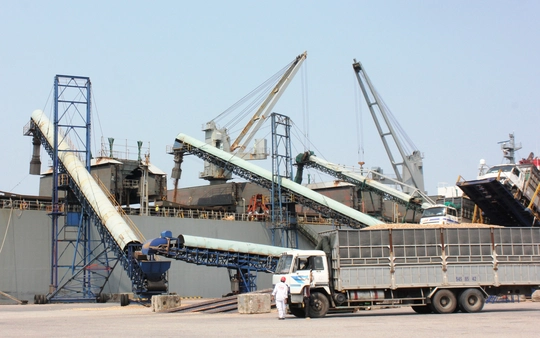 Dăm gỗ được đưa lên tàu để xuất khẩu tại cảng Gemadept Dung Quất - Quảng Ngãi