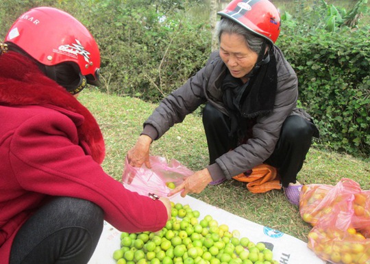 Người mua quả táo...