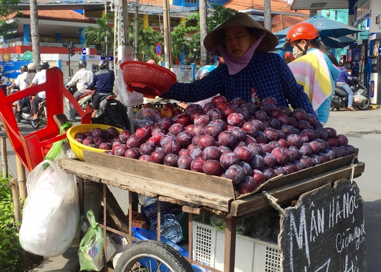 Giá mận bán lề đường từ 25.000-30.000 đồng/kg, rẻ hơn 1 nửa so với siêu thị