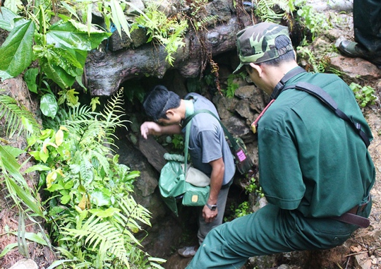 
Sau nhiều ngày nỗ lực tìm kiếm, lực lượng cứu hộ và người dân đã đưa được các nạn nhân lên khỏi hang, hoàn thành công tác cứu hộ vào chiều nay 9-6
