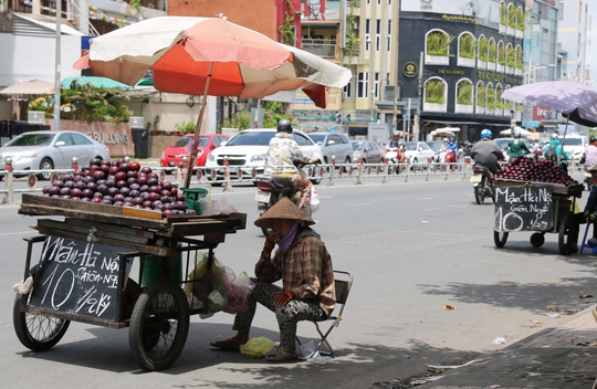 Mận Trung Quốc treo bảng mận Hà Nội bán khắp đường phố Sài Gòn