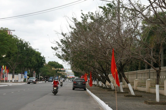 
Một góc của đường Trần Hưng Đạo - TP Tam Kỳ
