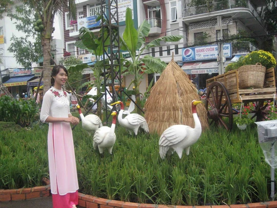 
Sếu đầu đỏ
