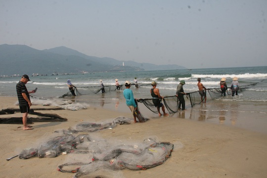 
Ngư dân Đà Nẵng sẽ yên tâm đánh bắt khi hải sản được giải cứu
