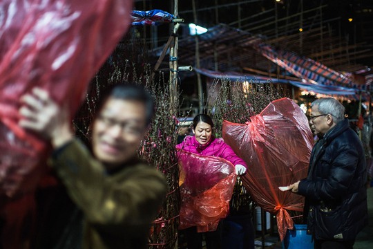 Người dân Hồng Kông mua đào tại công viên Victoria. Ảnh: REUTERS