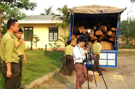 
Số gỗ bị Chi cục Kiểm lâm Thanh Hóa bắt giữ sau khi qua mặt nhiều trạm chốt kiểm tra lâm sản tuyến huyện

