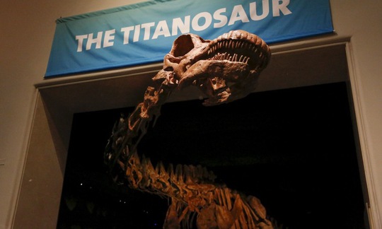 
Bộ xương khủng long Titanosaur được giới thiệu trong buổi họp báo ngày 14-1 tại Viện bảo tàng Lịch sử tự nhiên ở New York.
