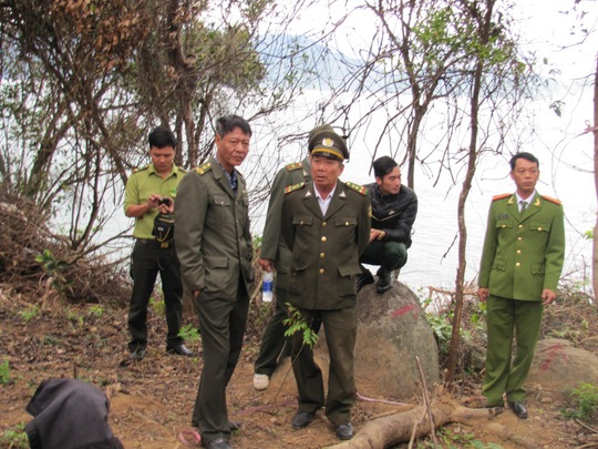 
Lực lượng chức năng bất ngờ với việc người dân phá rừng không phép cả tháng mà không hay biết
