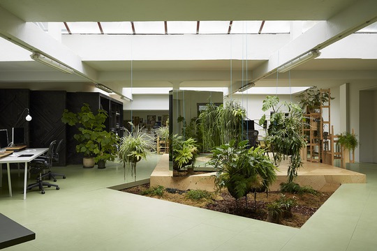 
Ngôi nhà được thiết kế mở, với phần không gian nằm giữa ngôi nhà được tận dụng để trồng cây giúp tăng thêm màu xanh cho ngôi nhà.
