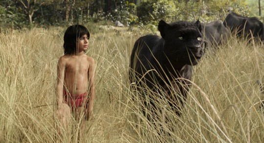 Mowgli và báo đen Bagheera