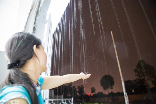 
Một người dân ở phường Phú Thọ, TP Thủ Dầu Một thích thú hứng những giọt mưa vàng
